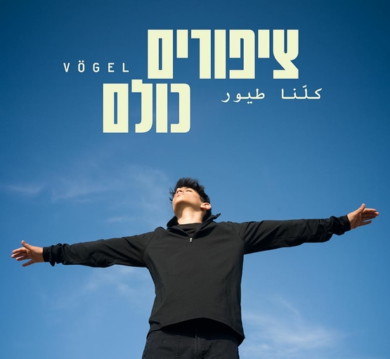 תמונת מופע: בחור פורס ידיים ומסתכל מעלה בקרע כחול של השמיים ומעליו שם המופע